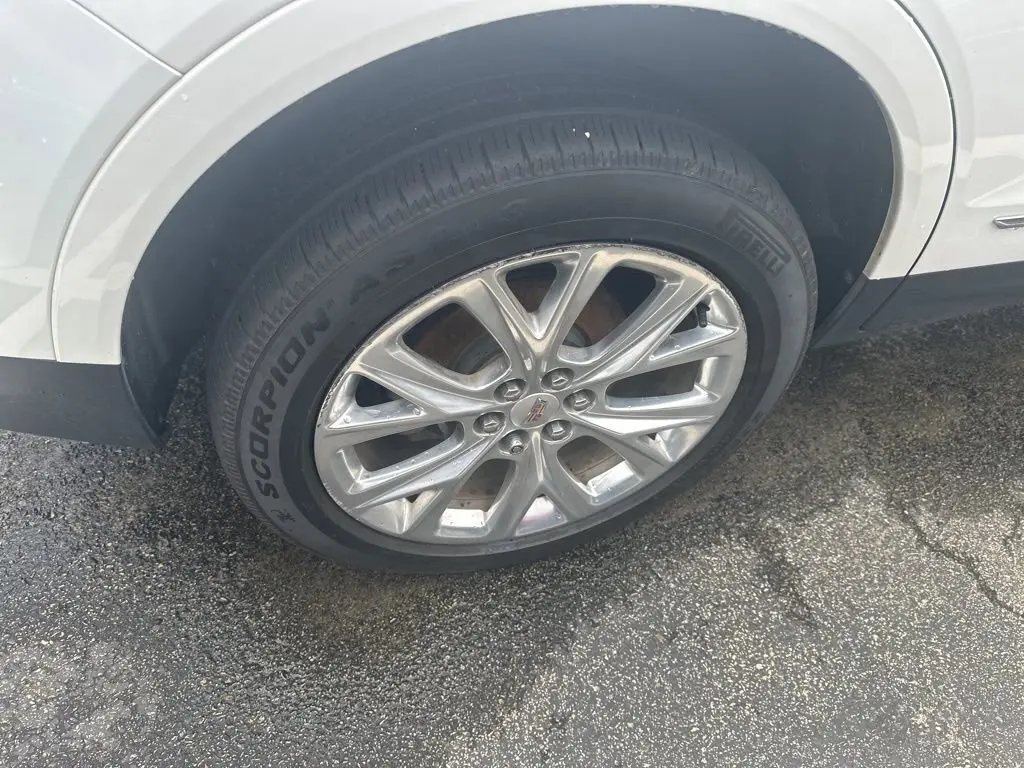 image-4