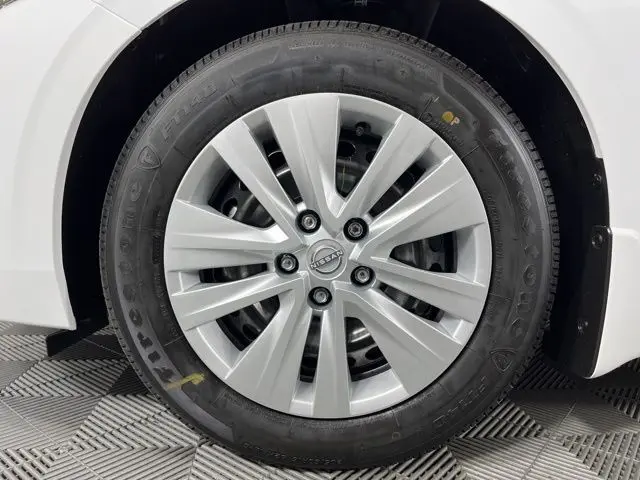 image-11