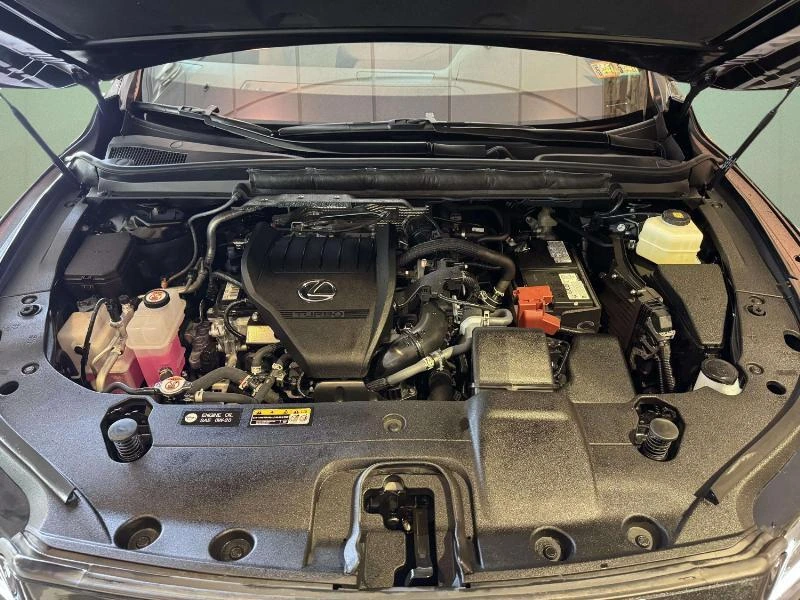 image-13