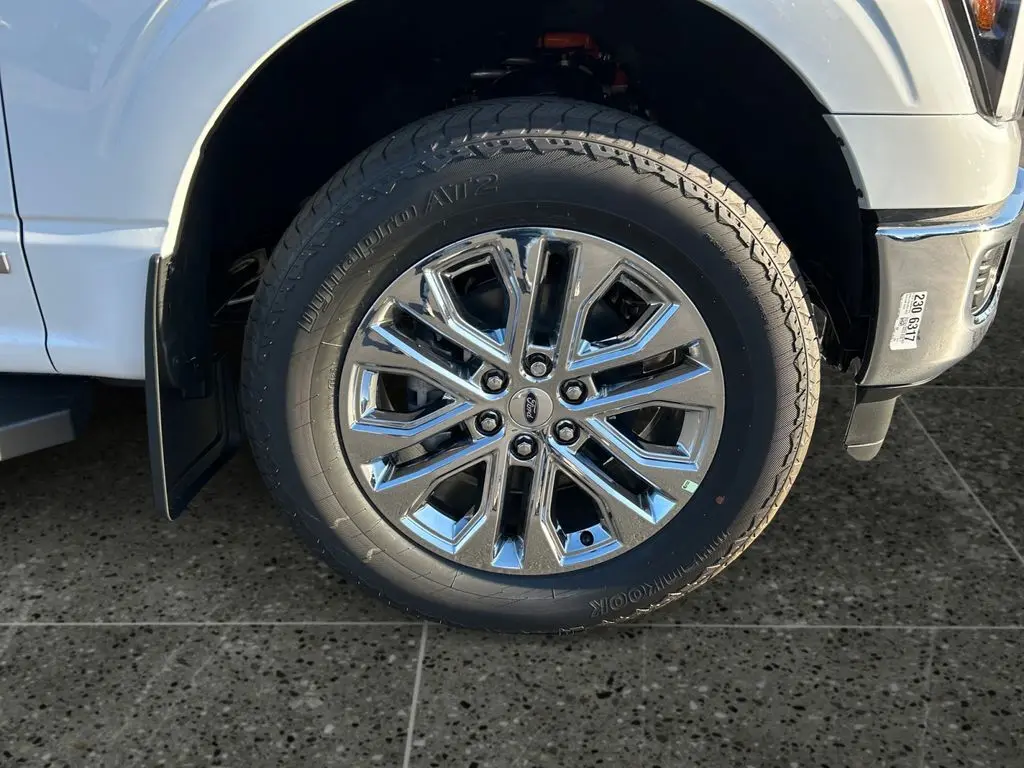 image-8