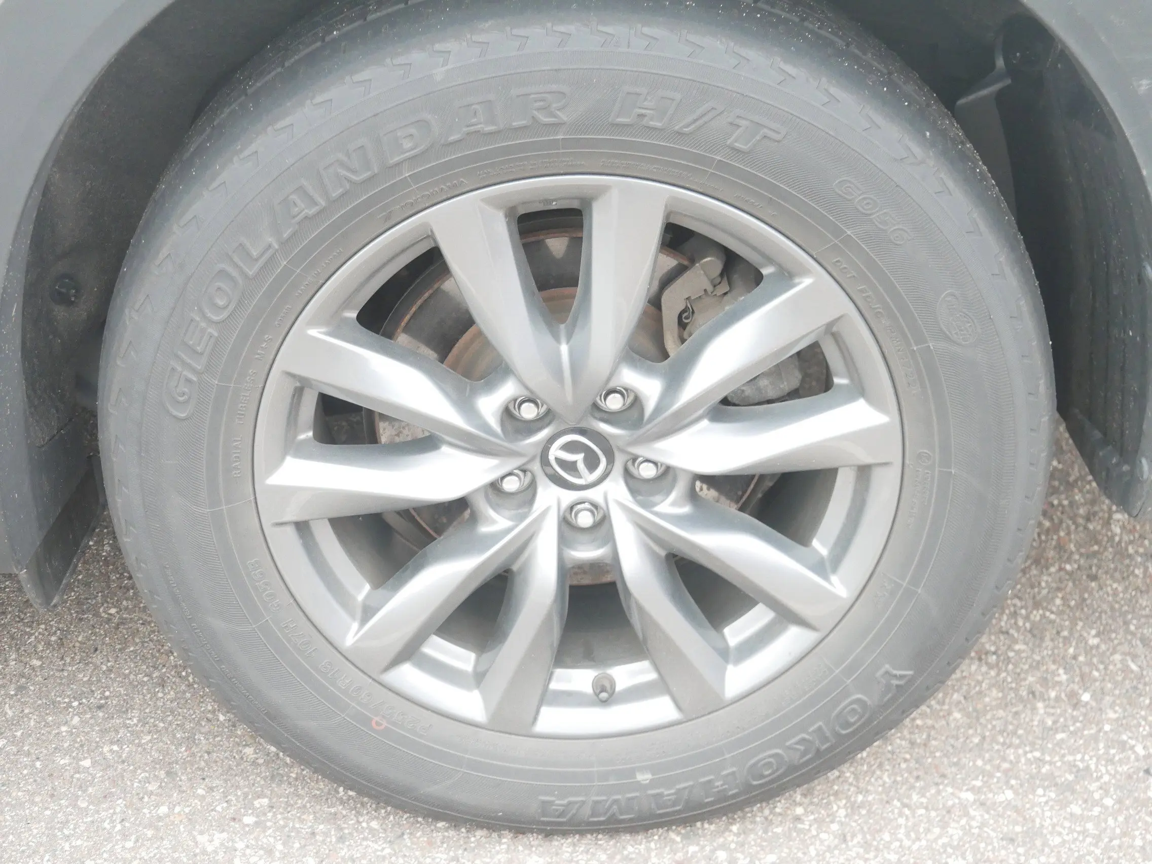 image-4