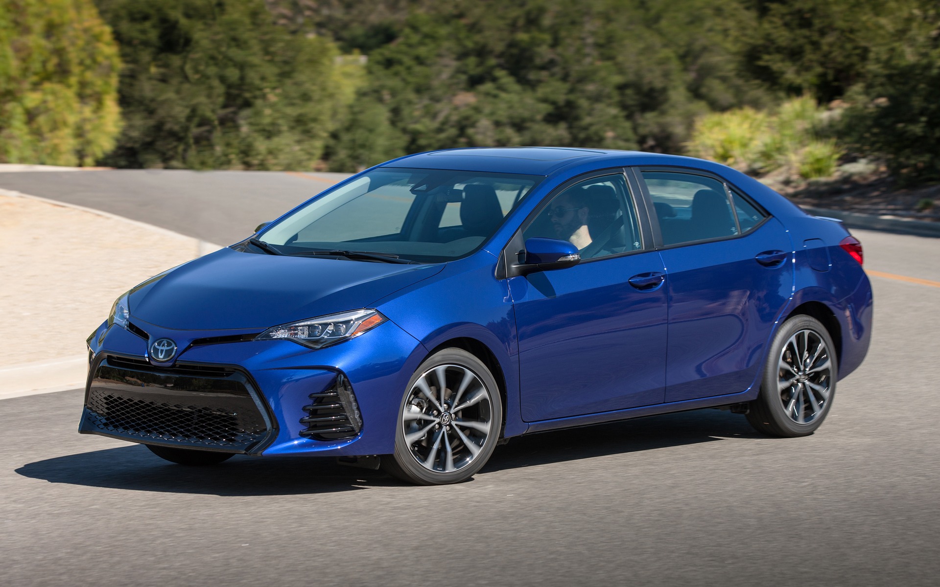 blue 2019 toyota corolla