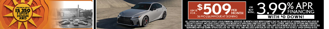 banner-image
