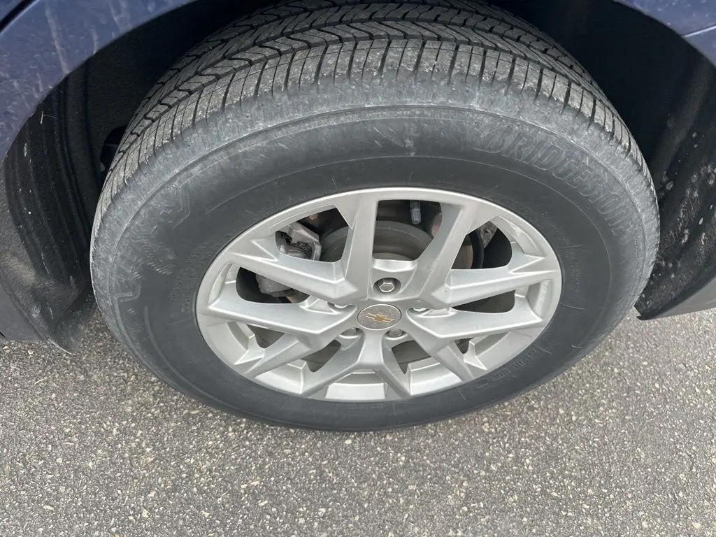 image-7
