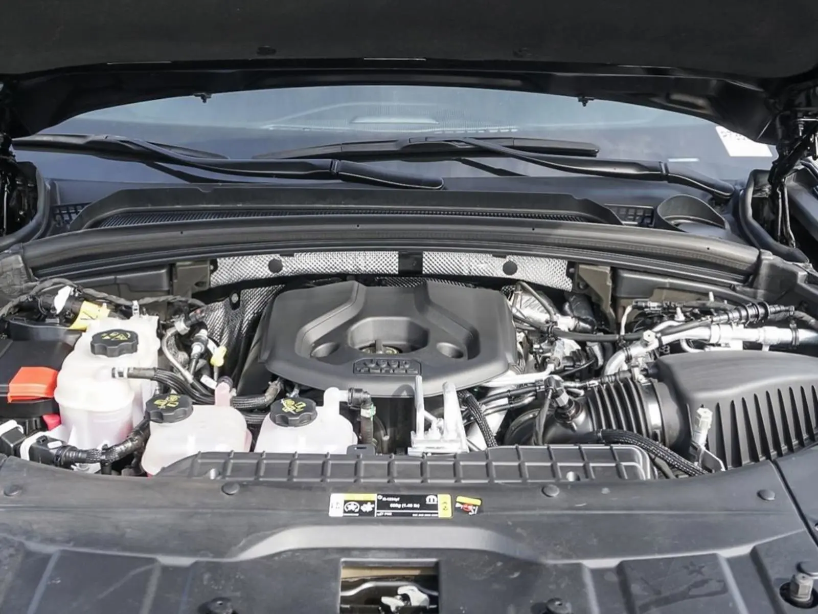 image-7