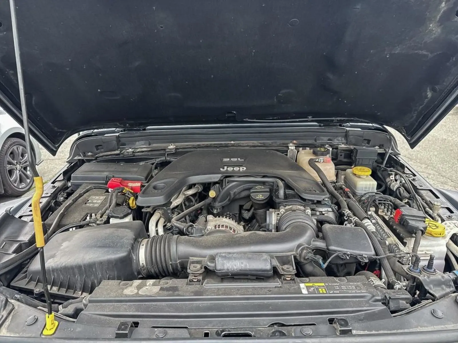 image-9