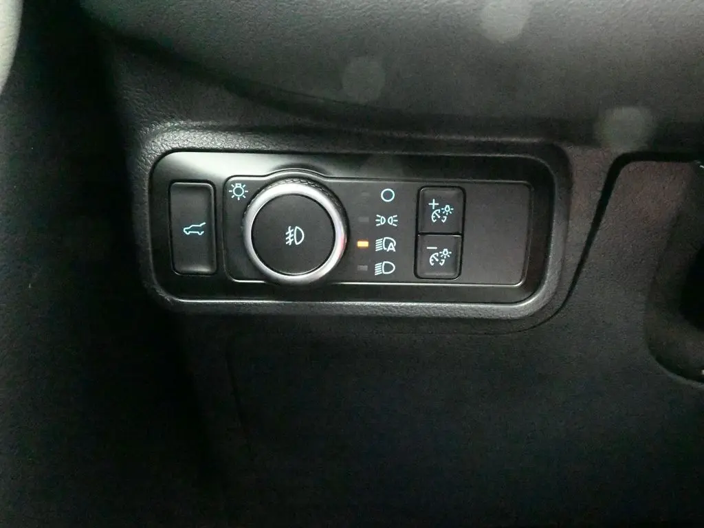 image-19