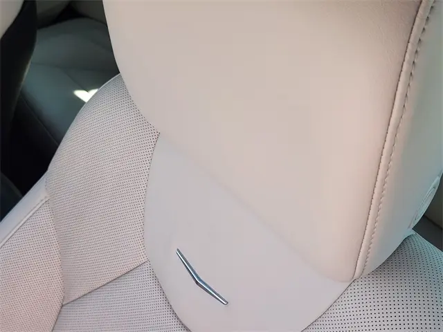 image-14