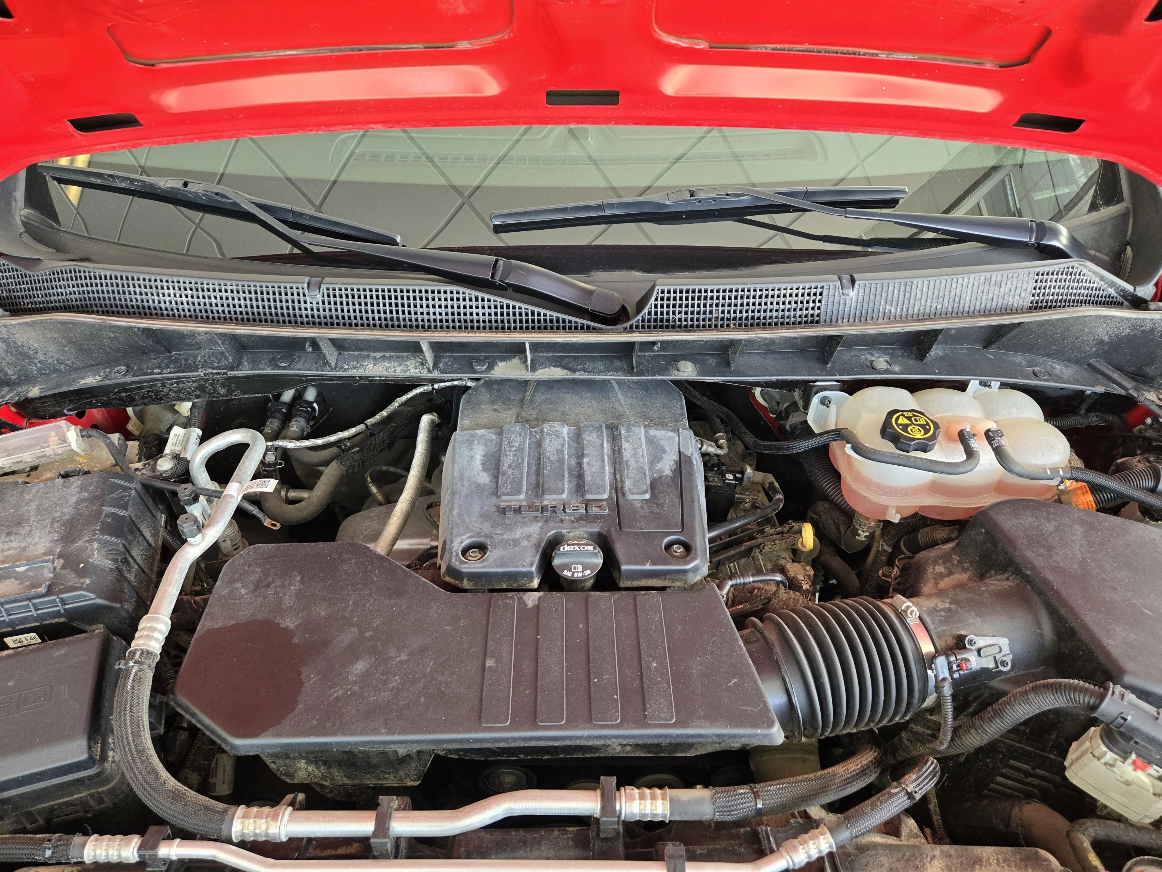 image-9