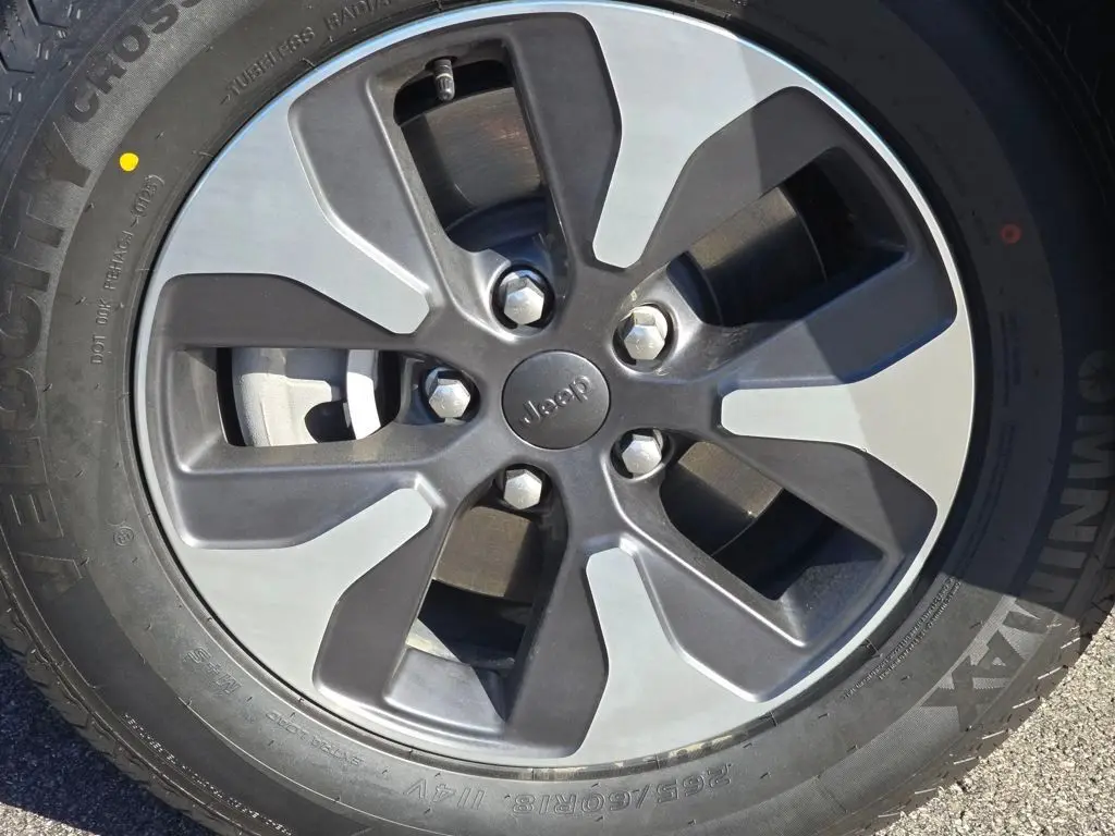 image-9