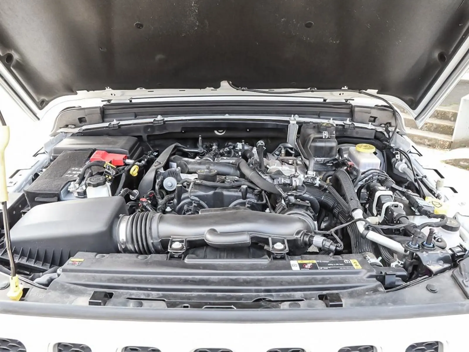 image-7