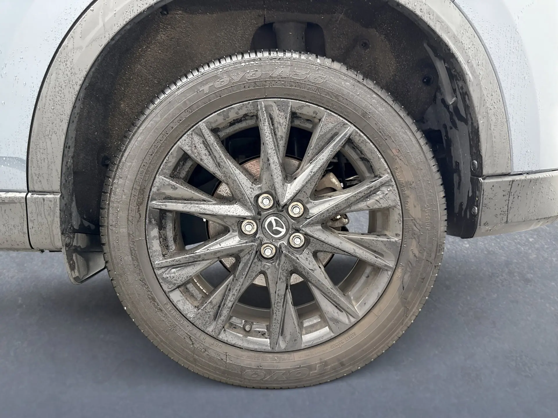 image-11
