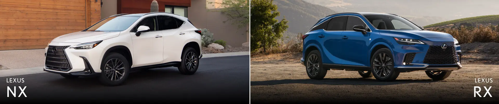 Lexus NX vs. RX