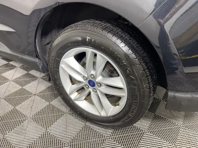image-7
