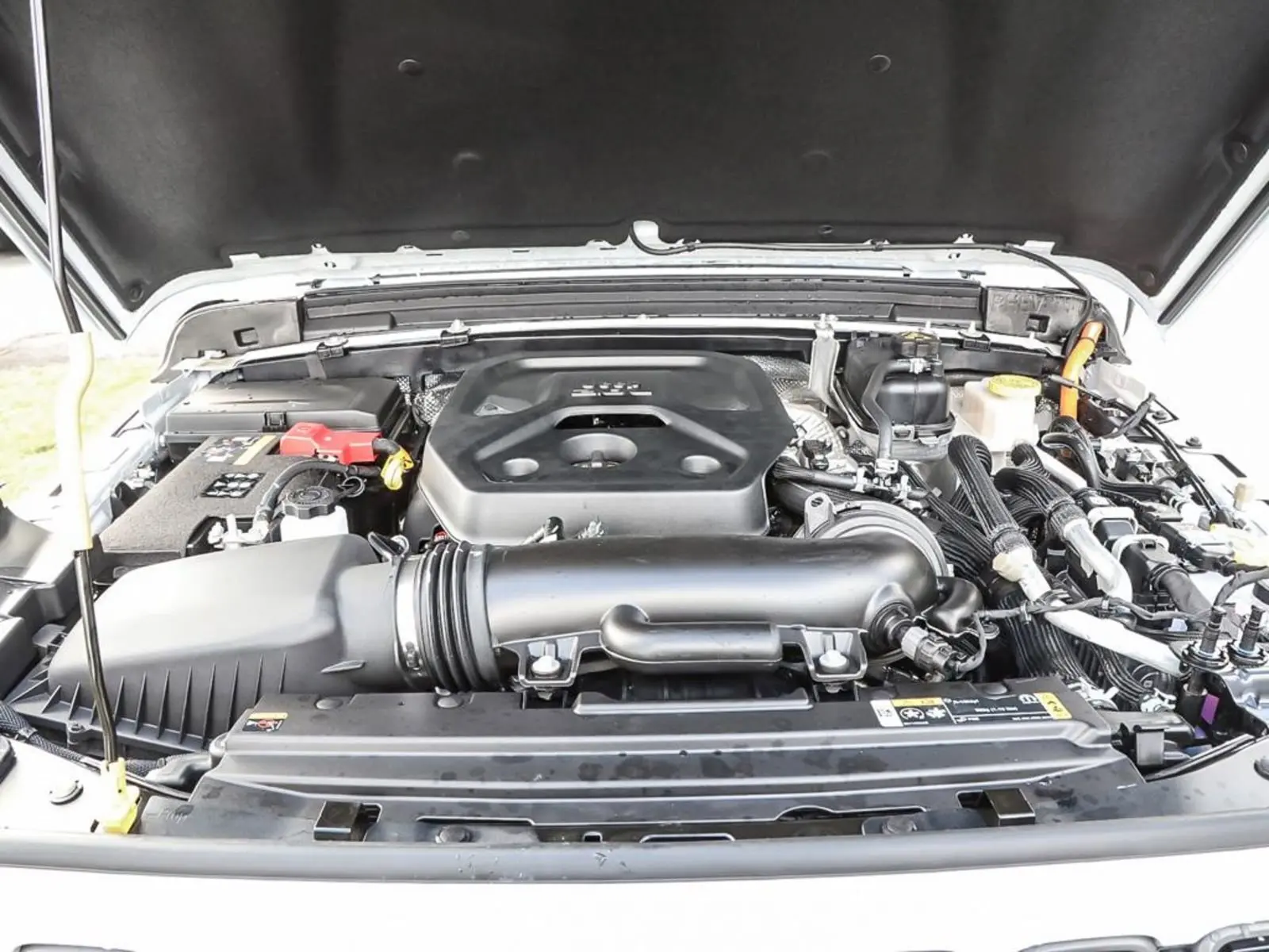image-6