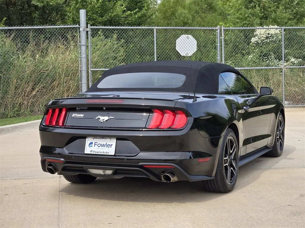 2019 Ford Mustang EcoBoost Premium photo 7