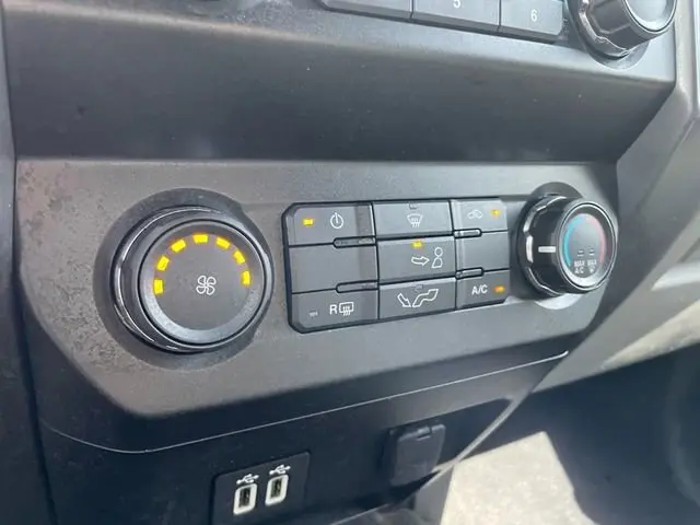 image-19