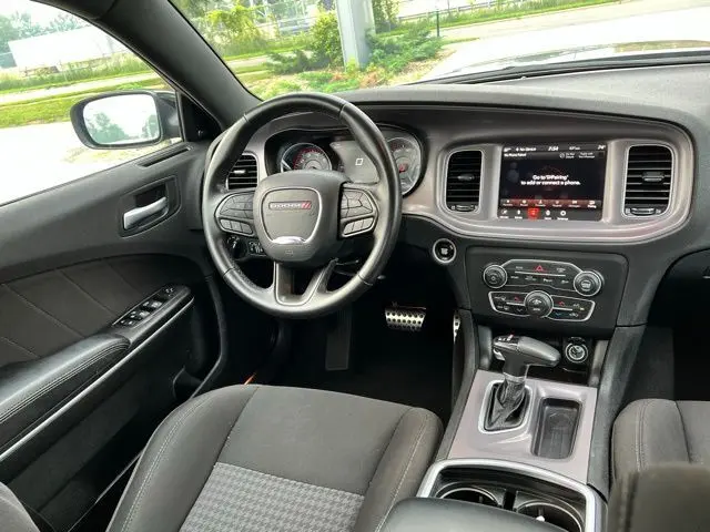 image-19