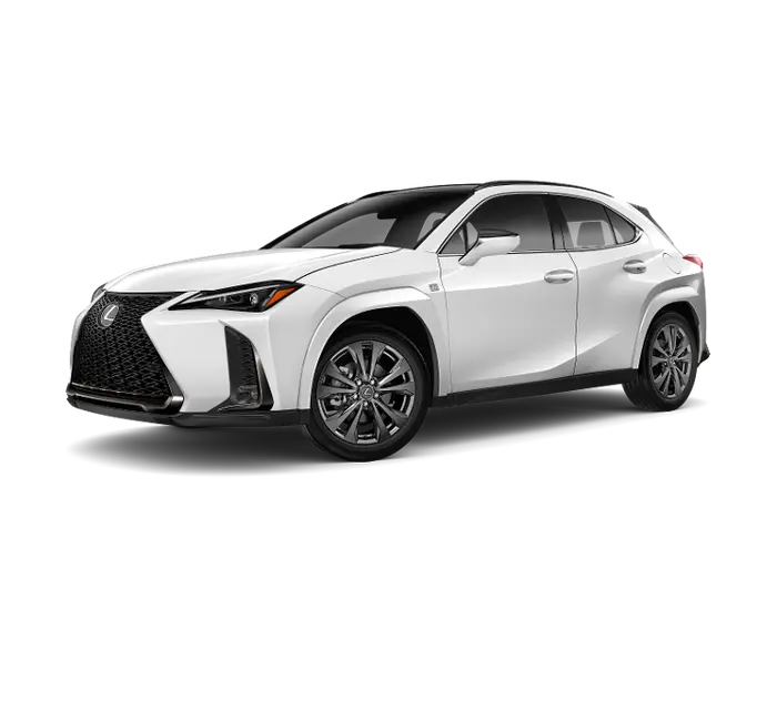 2022 Lexus UX 250h photo 10