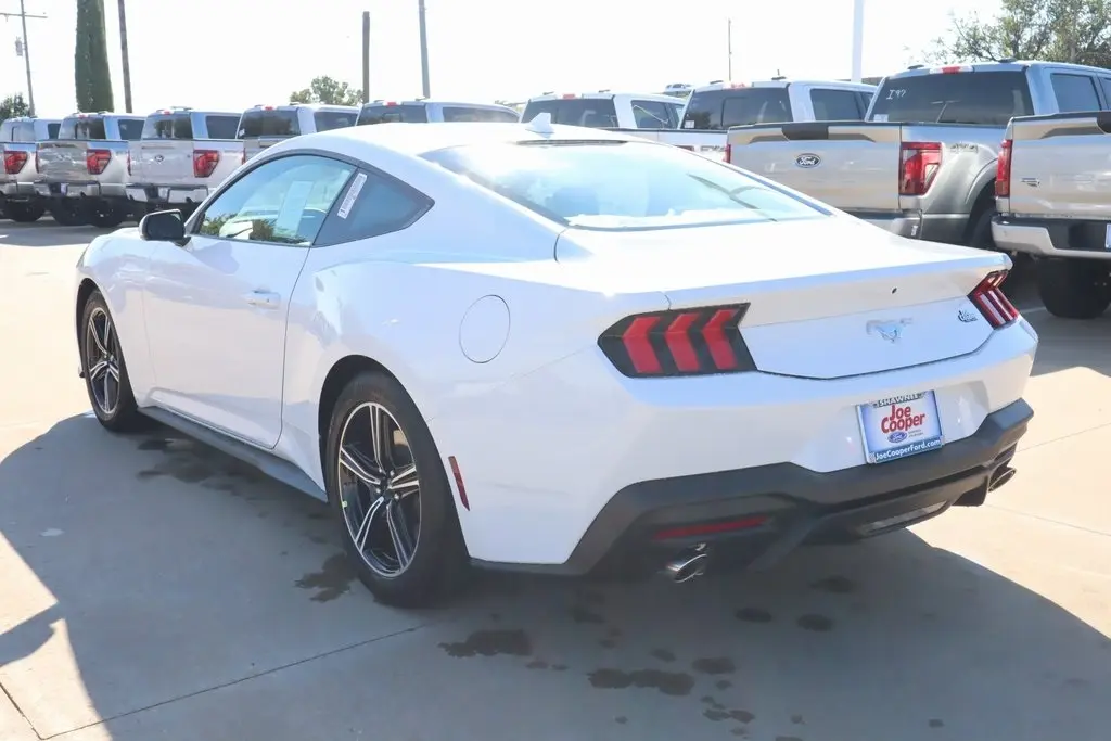 2025 Ford Mustang EcoBoost photo 21