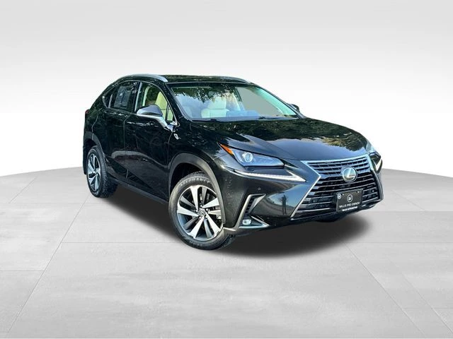 2018 Lexus NX 300's photo