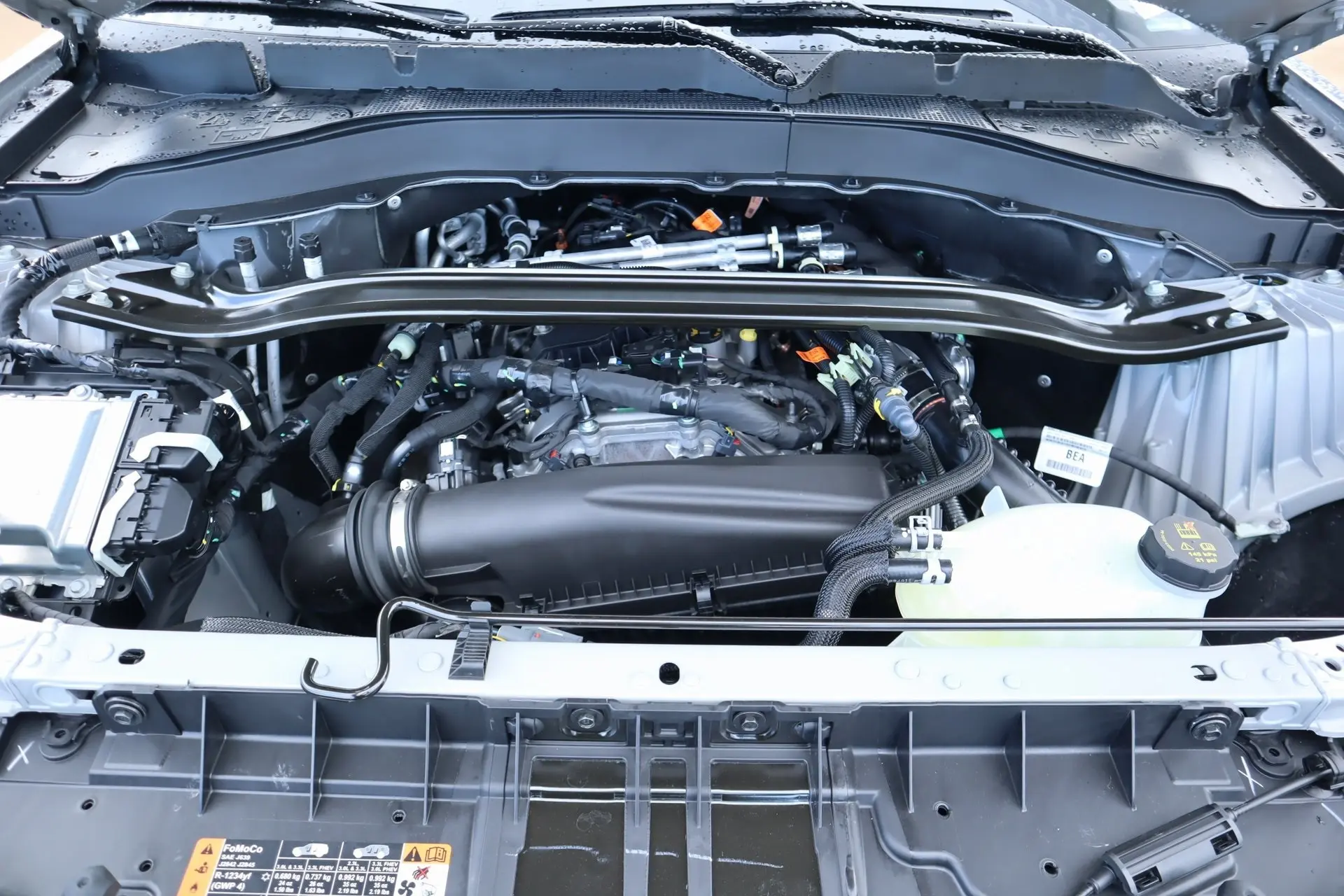 image-19
