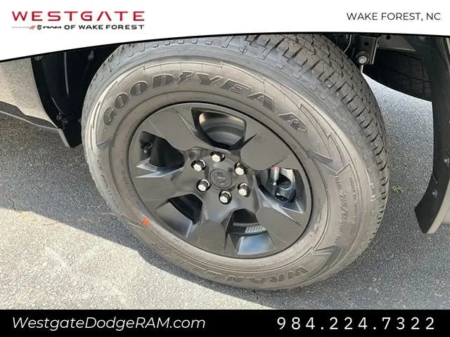 image-13