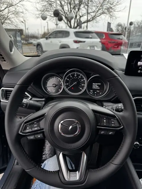 image-12