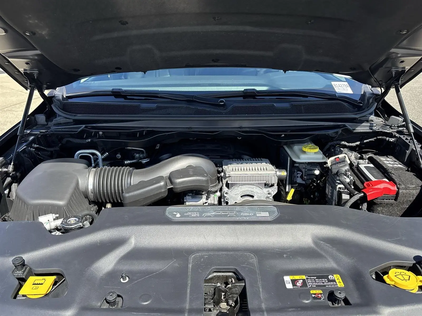 image-7