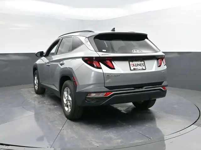 image-7