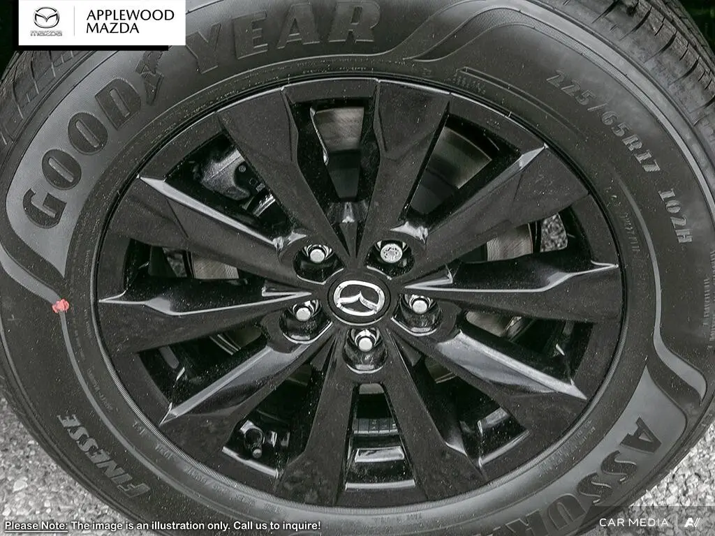 image-7