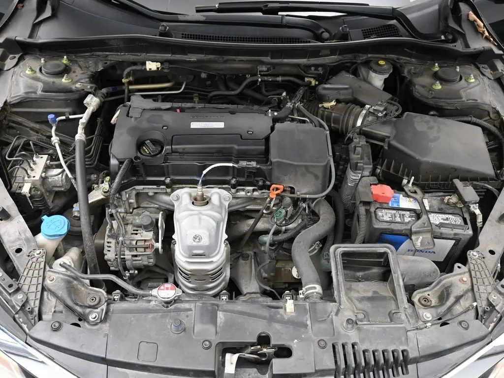 image-19