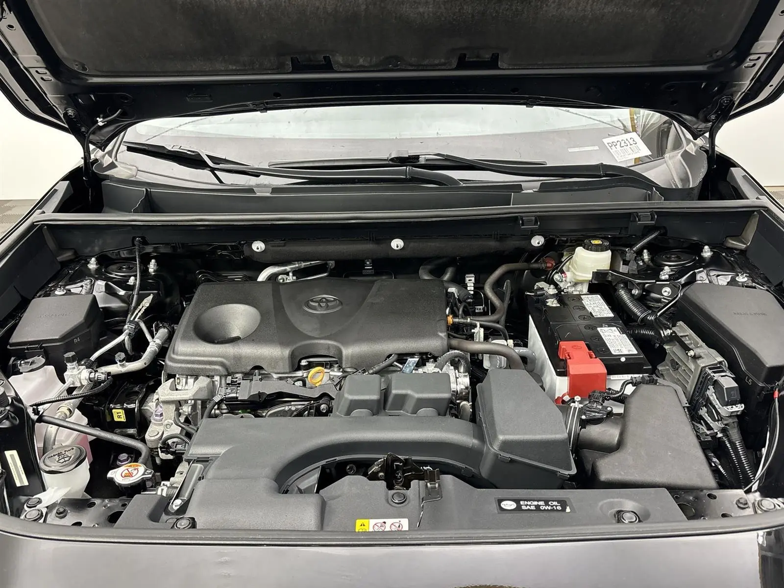 image-19
