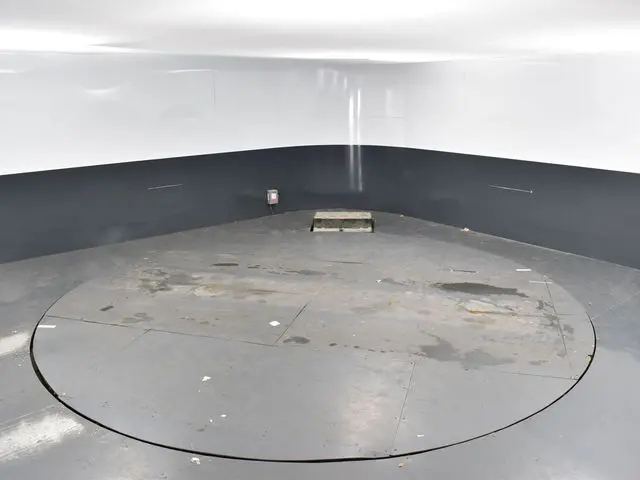 image-46