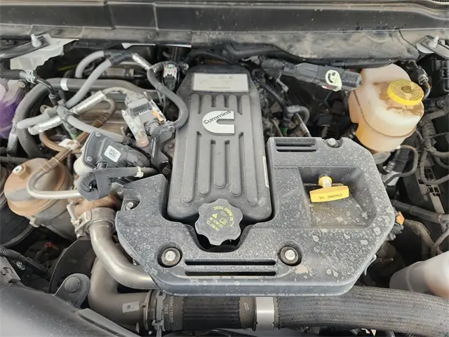 image-19