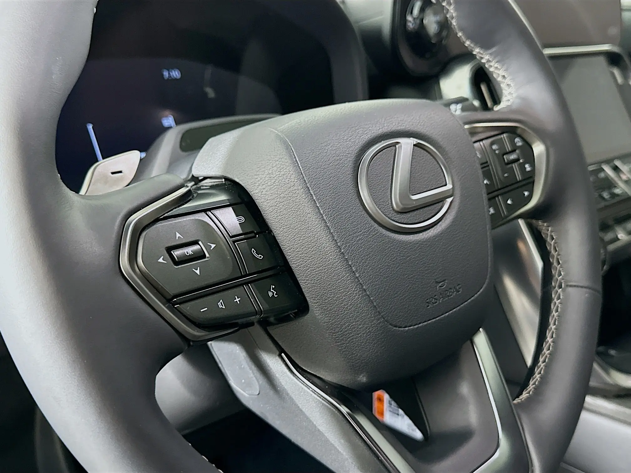 2025 Lexus LX photo 23