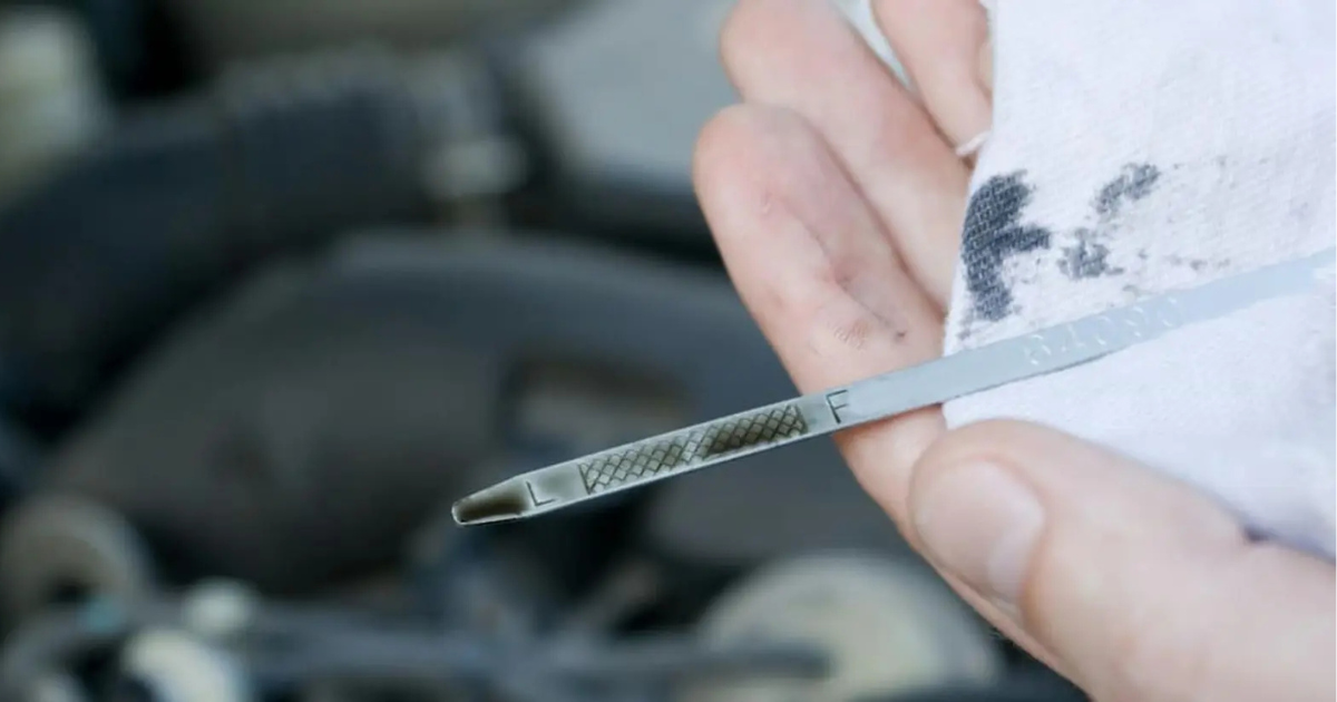 Oil dip stick in a person's hand