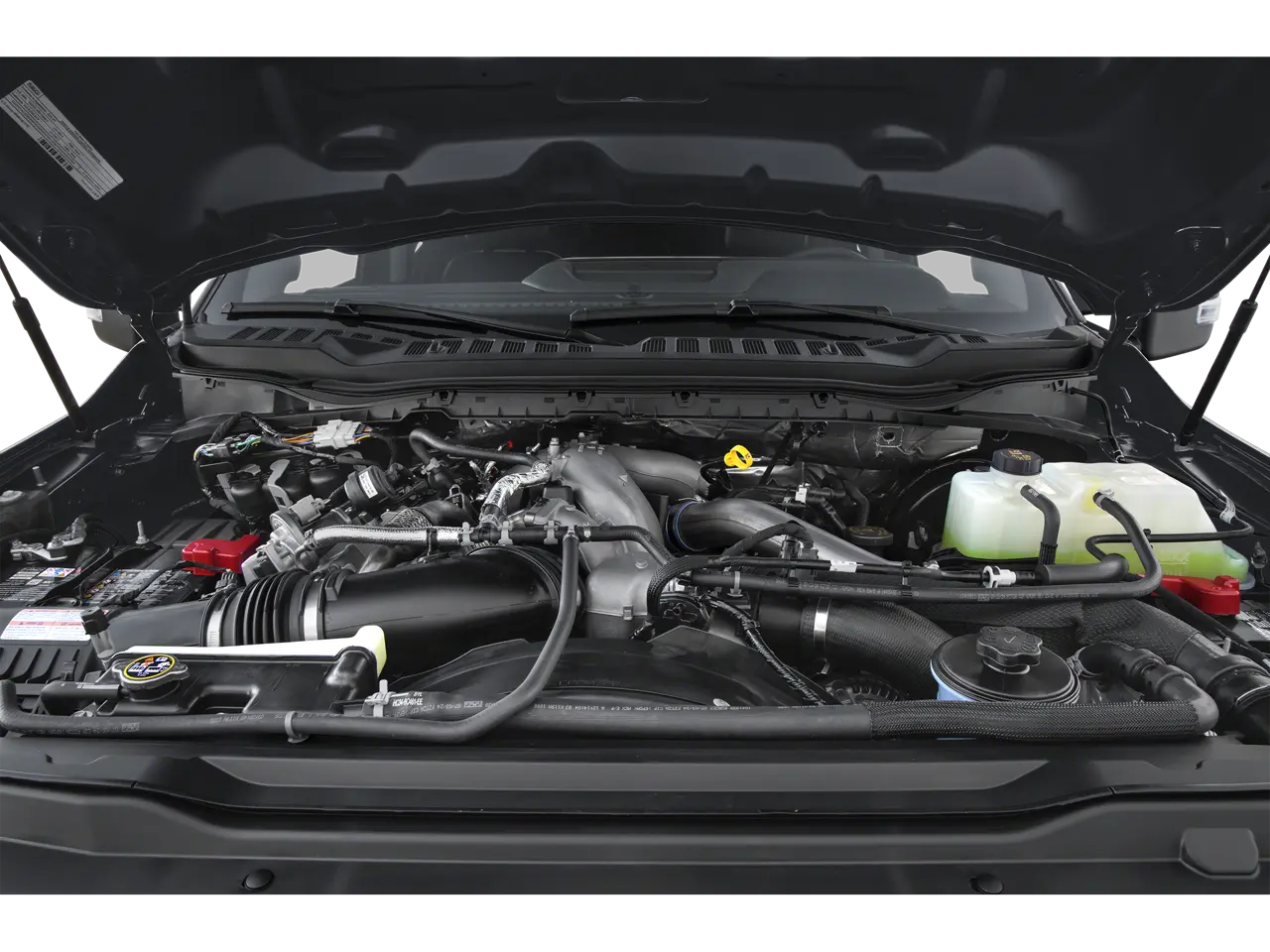 image-9