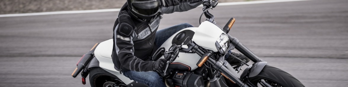 All-New 2019 Harley-Davidson® FXDR™ 114