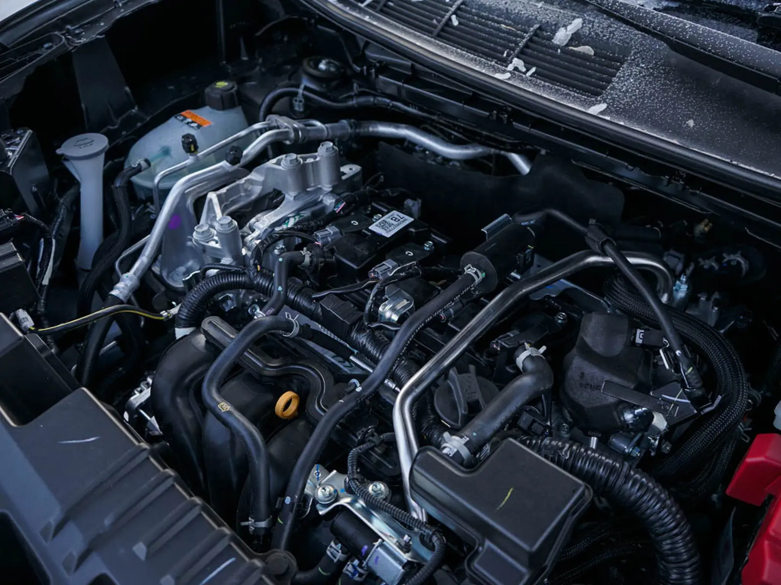 image-5