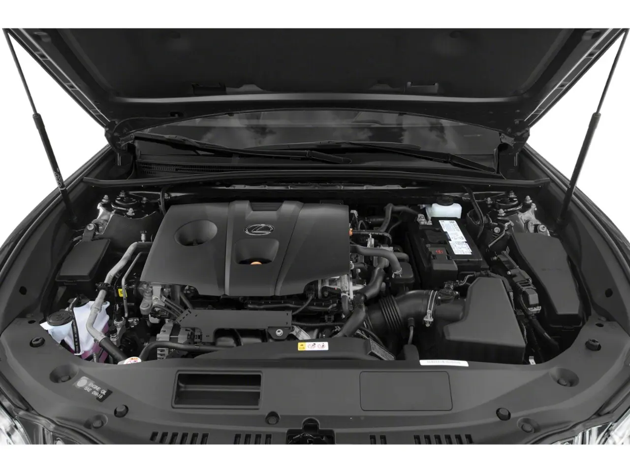 image-8