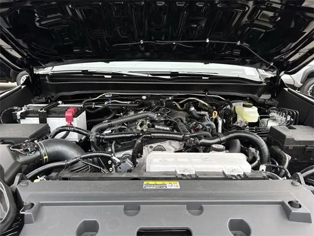 image-19