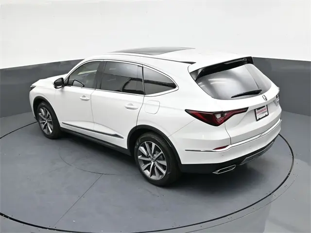 image-19