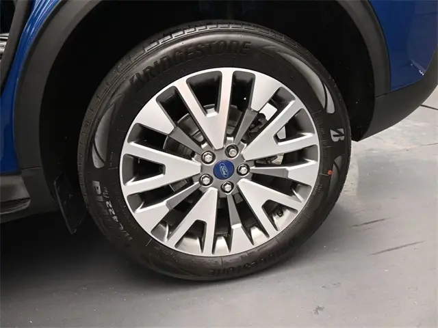 image-19