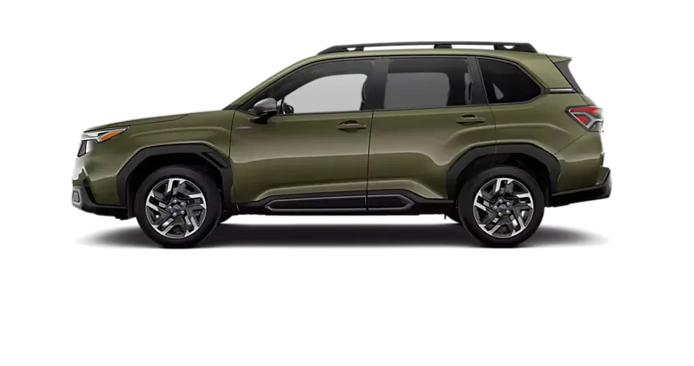 Forester Limited Hybrid