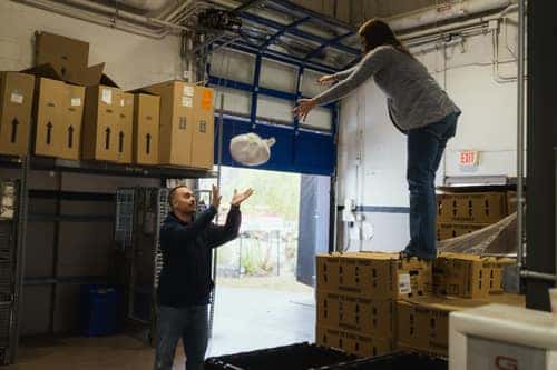 Throwing a turkey at Masano Auto Park used car dealership