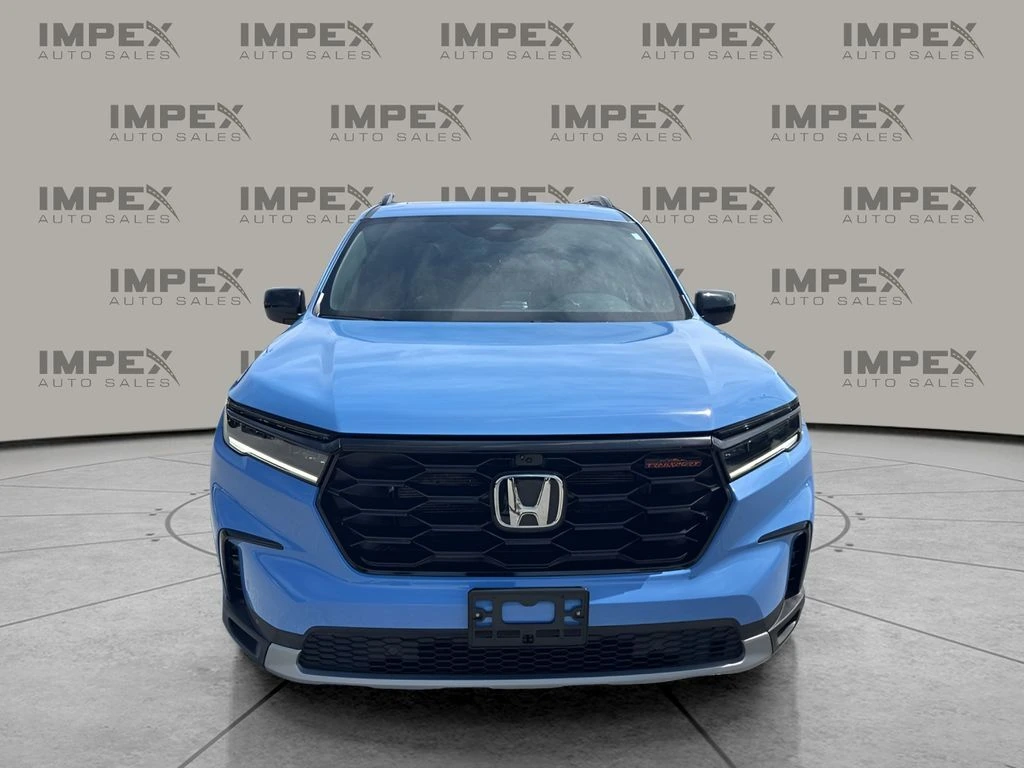 image-7