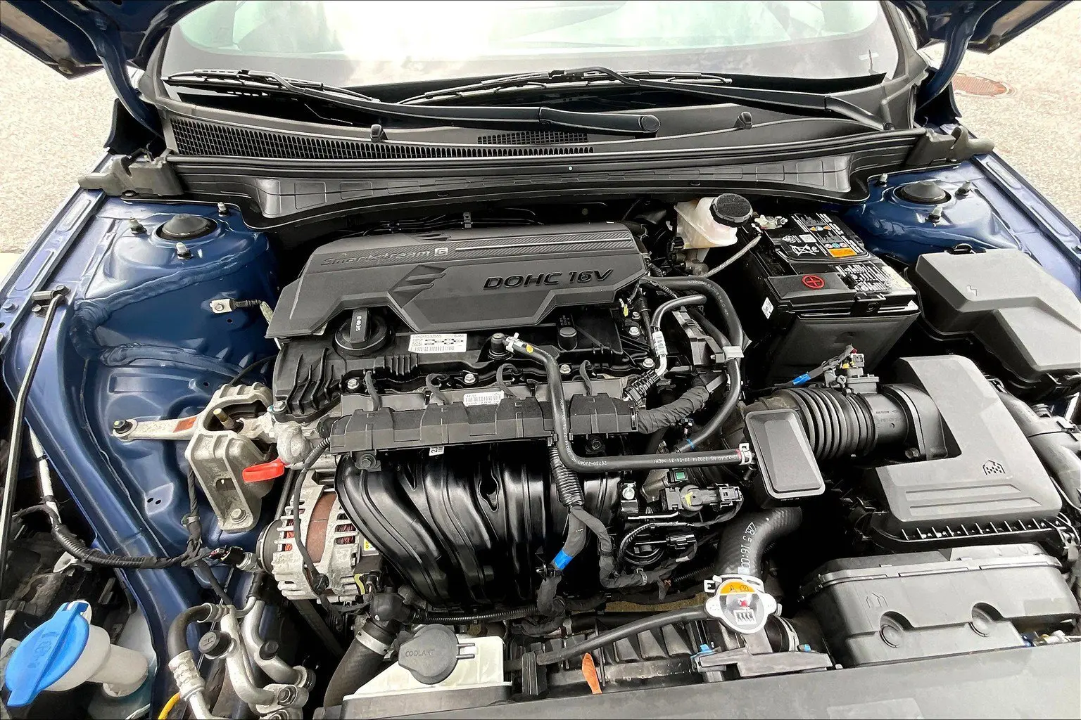 image-12