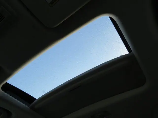 image-19