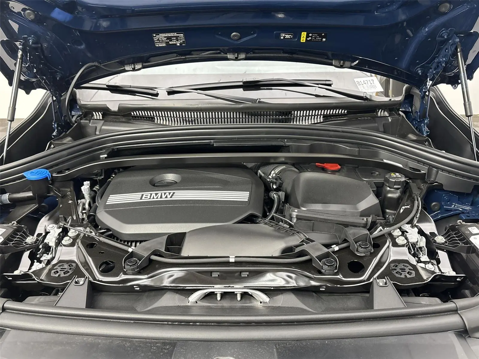 image-19
